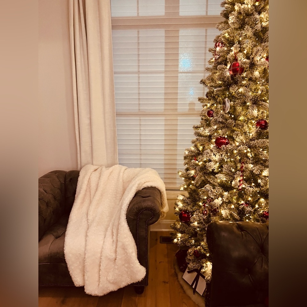 Crate and barrel sherpa faux fur throw. pottery barn,restoration hardware. New - Picture 6 of 7